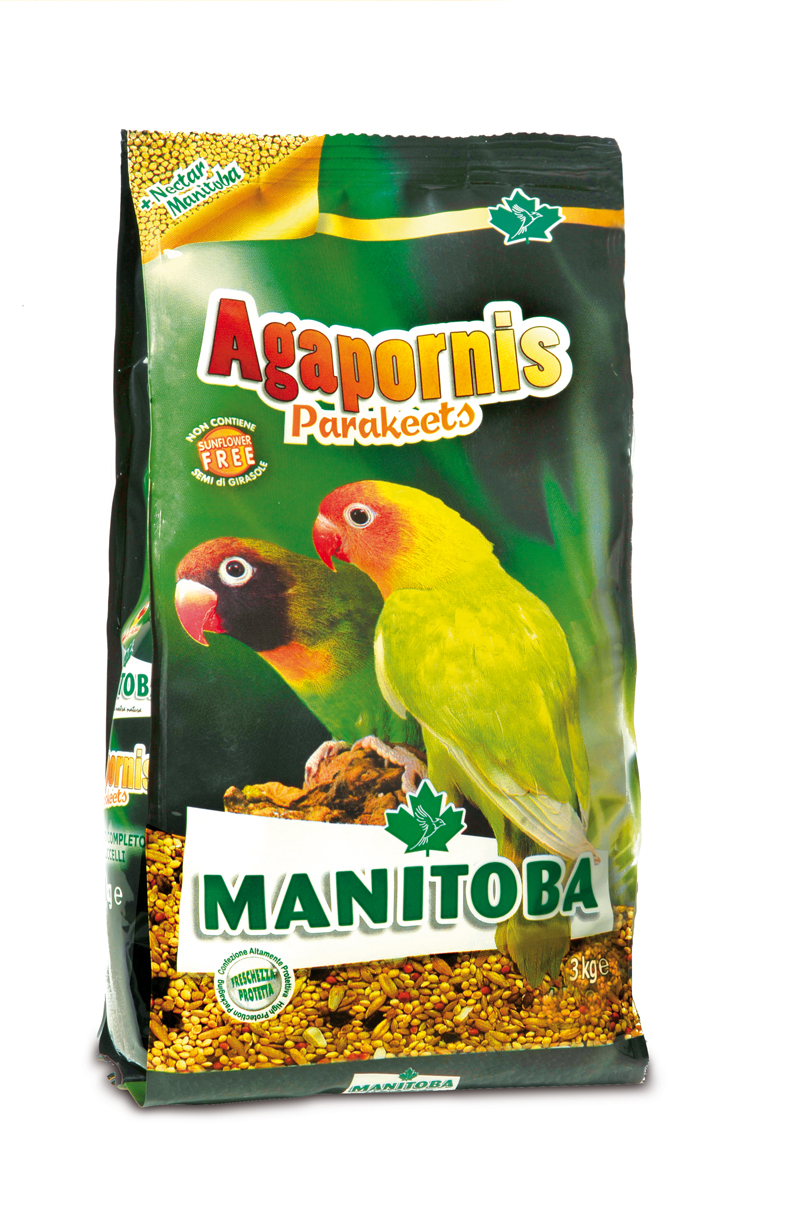 Manitoba Agapornis Parakeets 3kg