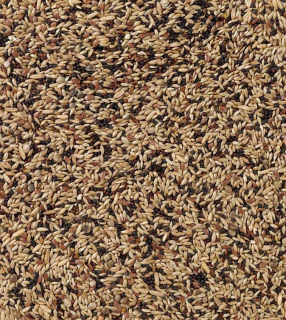 Deli Nature 53 - Canary Seed Extra 4kg